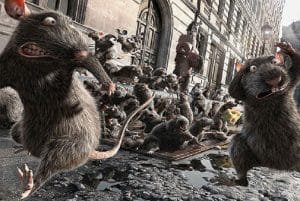 Que Significa Soñar Con Ratas Persiguiéndome | Lo Que Debes Saber