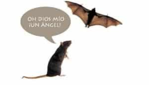 Descifra tus sueños: ¿Que significa soñar con ratas y murciélagos?
