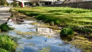 Que Significa Soñar Con Agua Sucia Verde